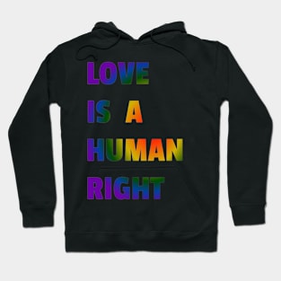 Love is a Human Right Hoodie